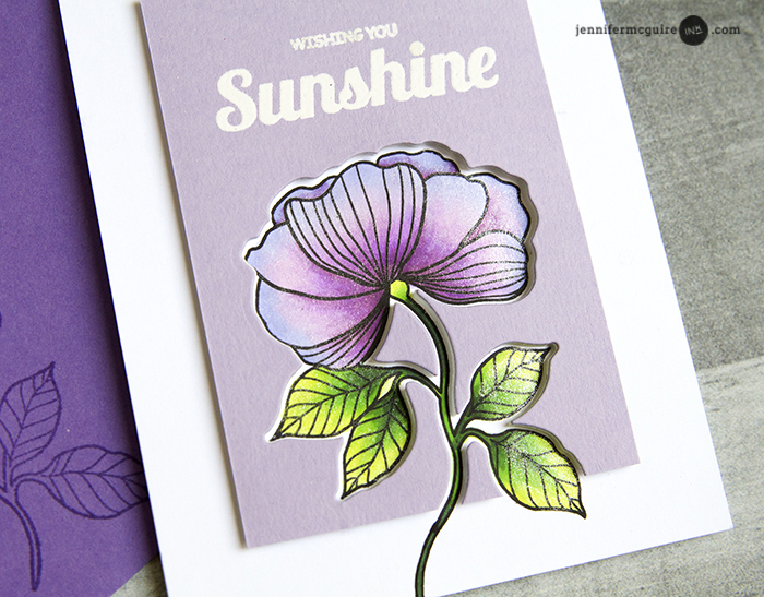 Set Back Stamping Video by Jennifer McGuire Ink