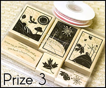Prize 3