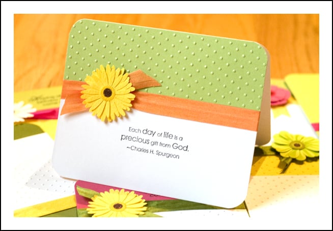 Card Set 6
