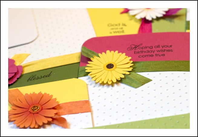 Card Set 9
